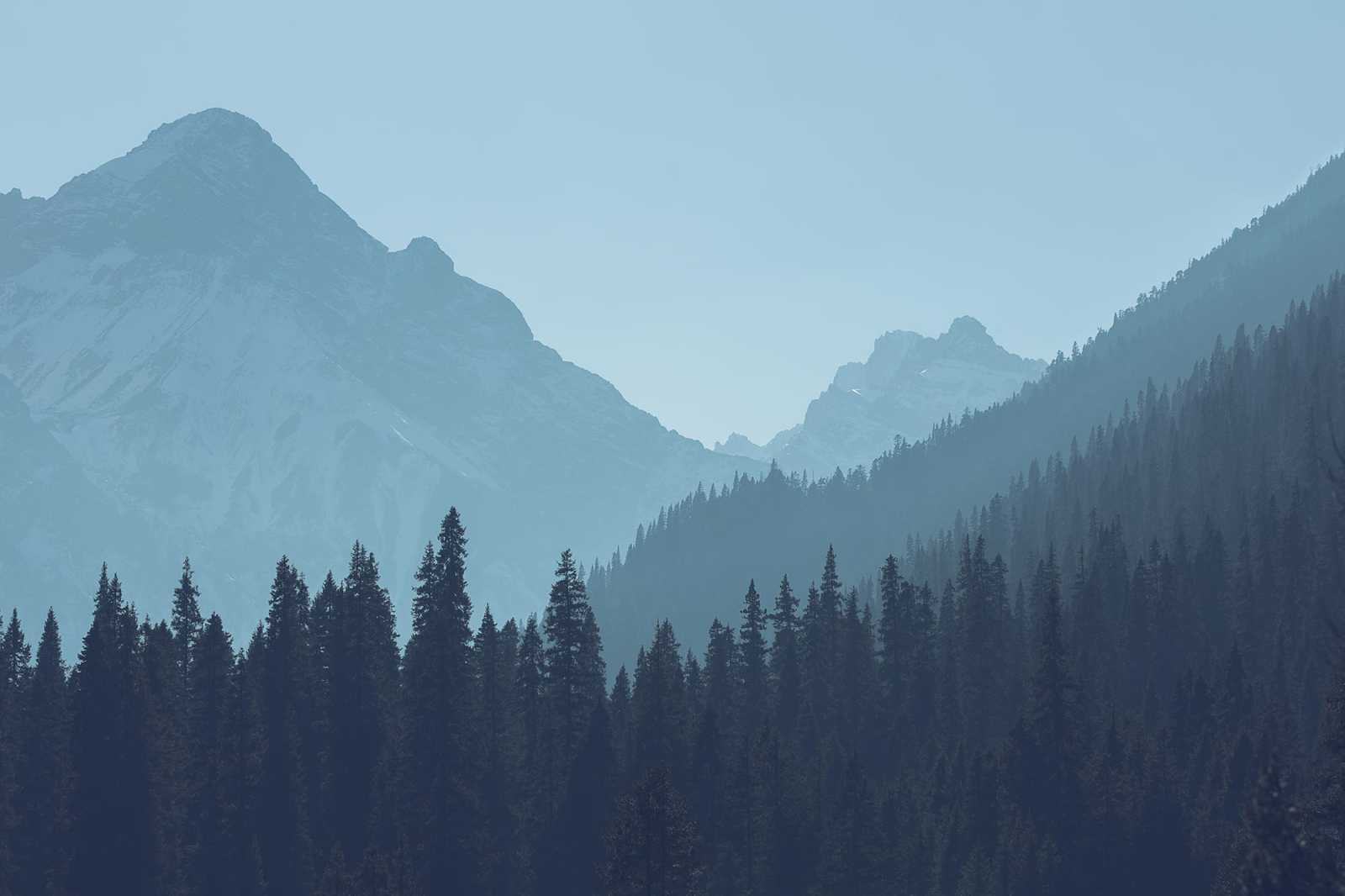 a picture of hills and skyline peaks and trees with blue tones contrasting